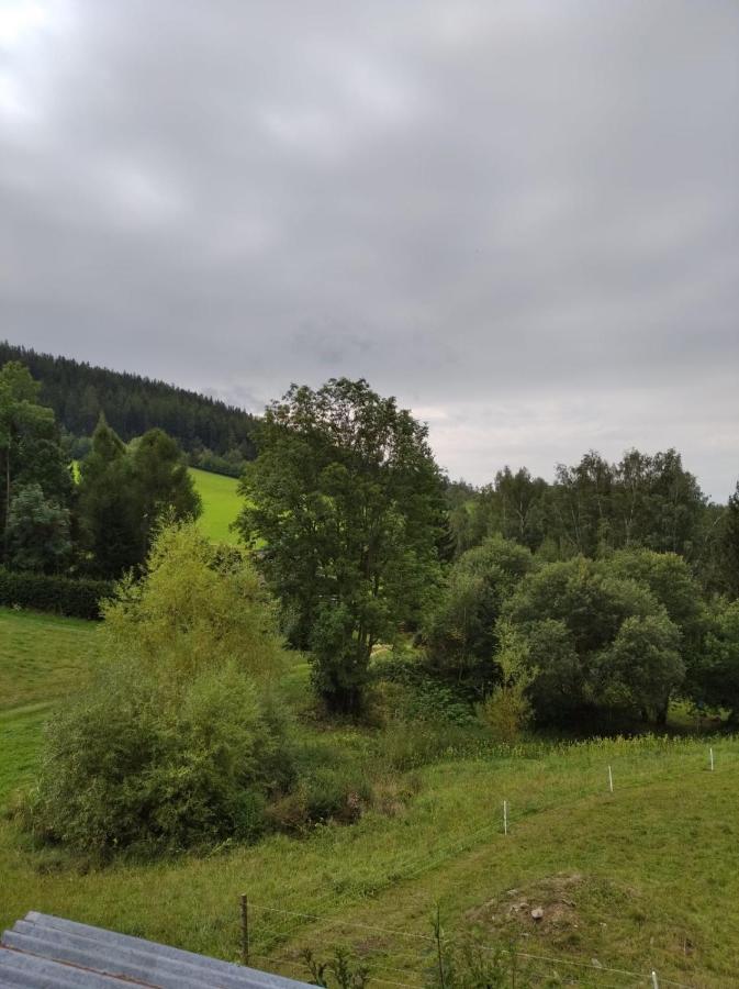 Frantiskov 17 Apartment Rokytnice nad Jizerou