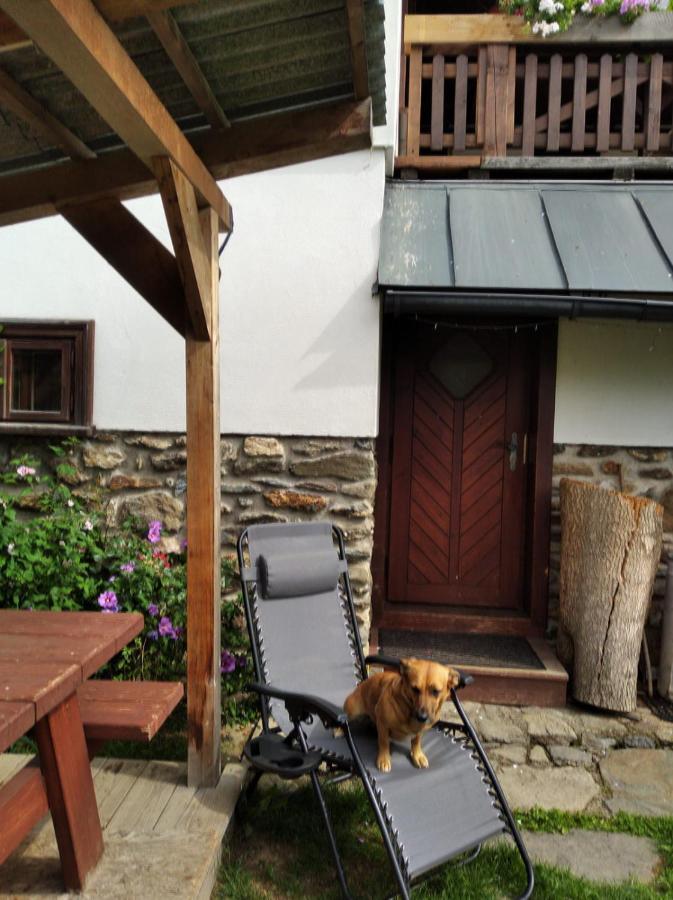 Frantiskov 17 Apartment Rokytnice nad Jizerou