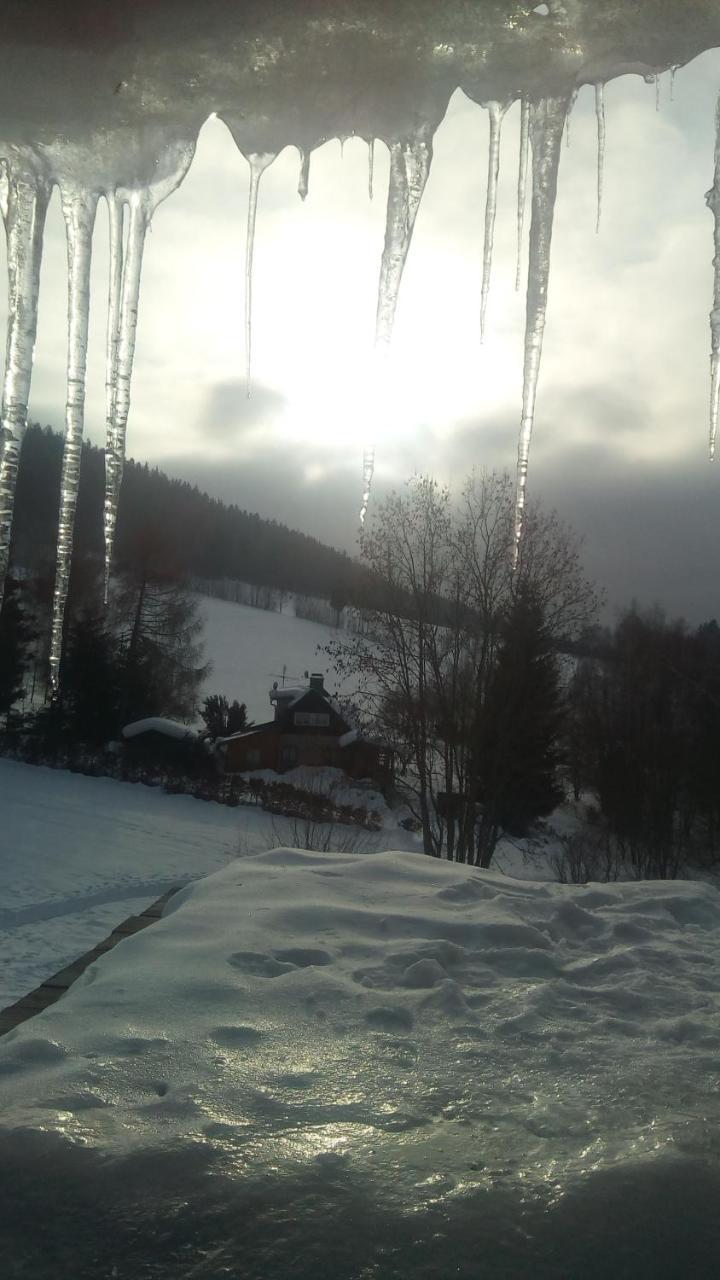 Apartment Frantiskov 17 *